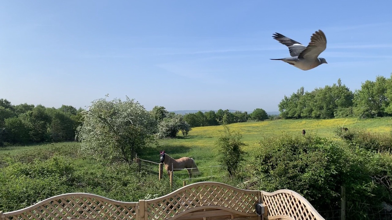 Photo of Outdoor in Rastrick