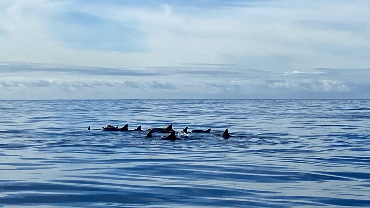 Photo of Others in Makaha Valley
