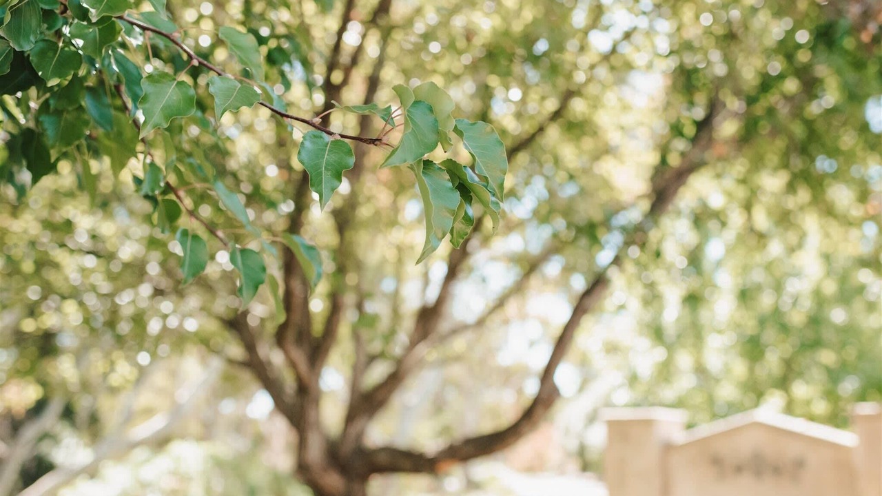 Photo of Outdoor in Stirling