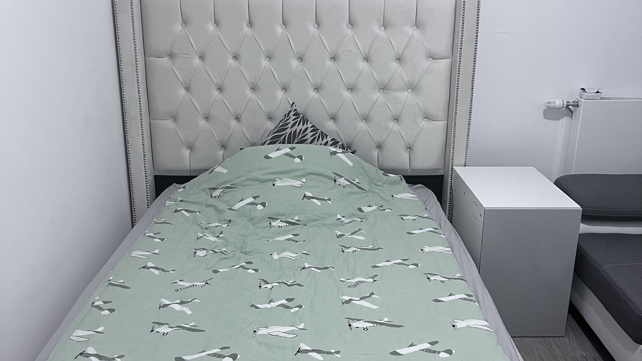 Photo of Bedroom in Sartrouville