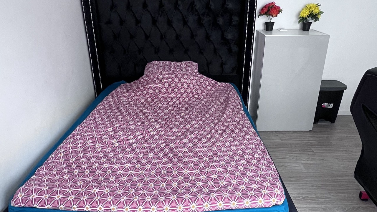 Photo of Bedroom in Sartrouville