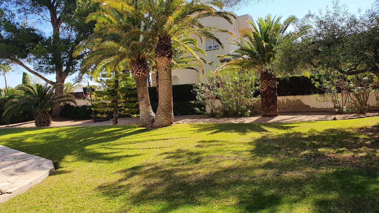 Photo of Outdoor in Miami Platja