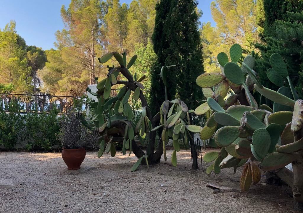 Photo of Outdoor in Miami Platja