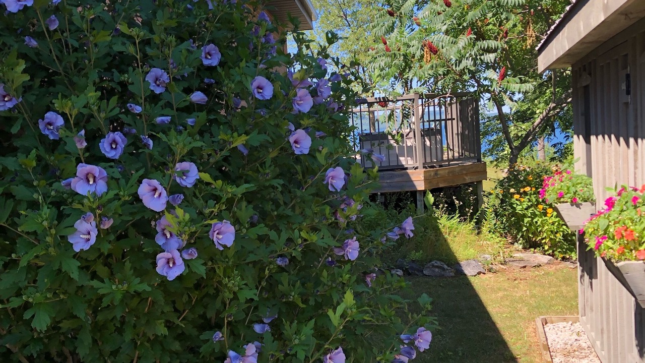 Photo of Outdoor in Big Bay