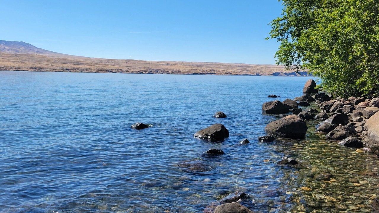 Photo of Others in Desert Aire