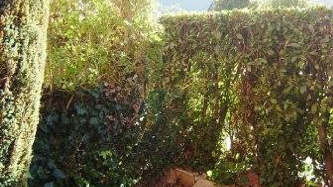 Photo of Outdoor in Esquieze-Sere