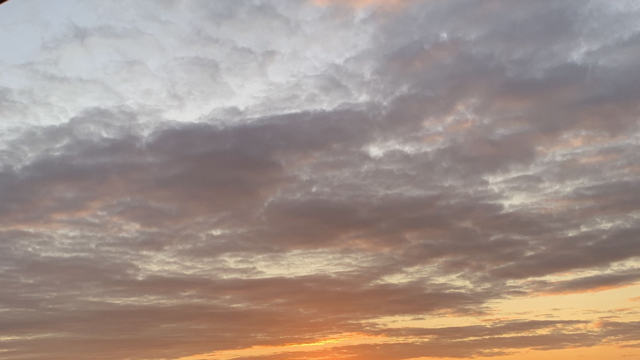 Photo of Others in La Cote Radieuse