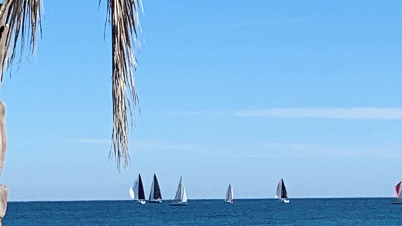 Photo of Others in La Cote Radieuse