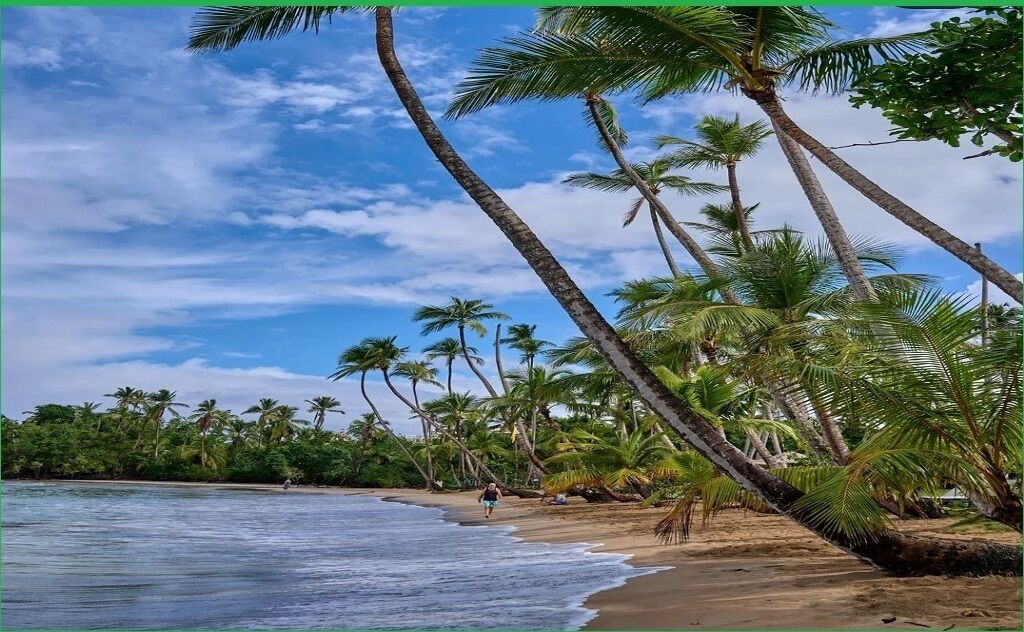 Photo of Others in Las Terrenas