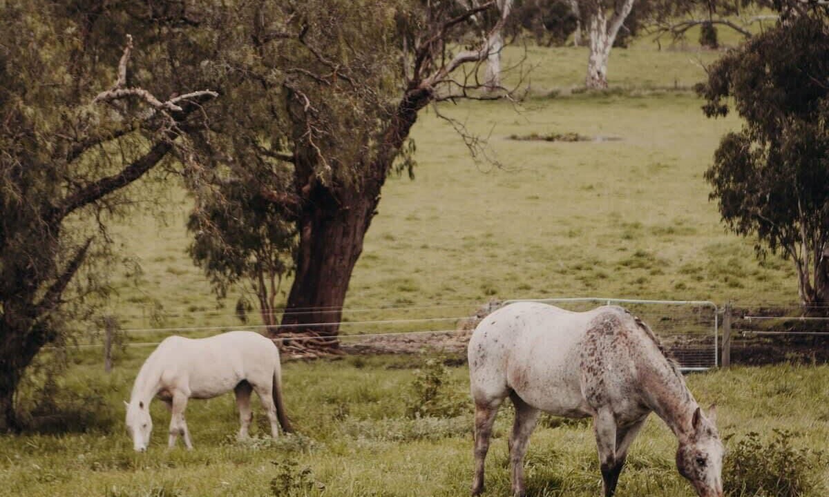Photo of Others in Macclesfield