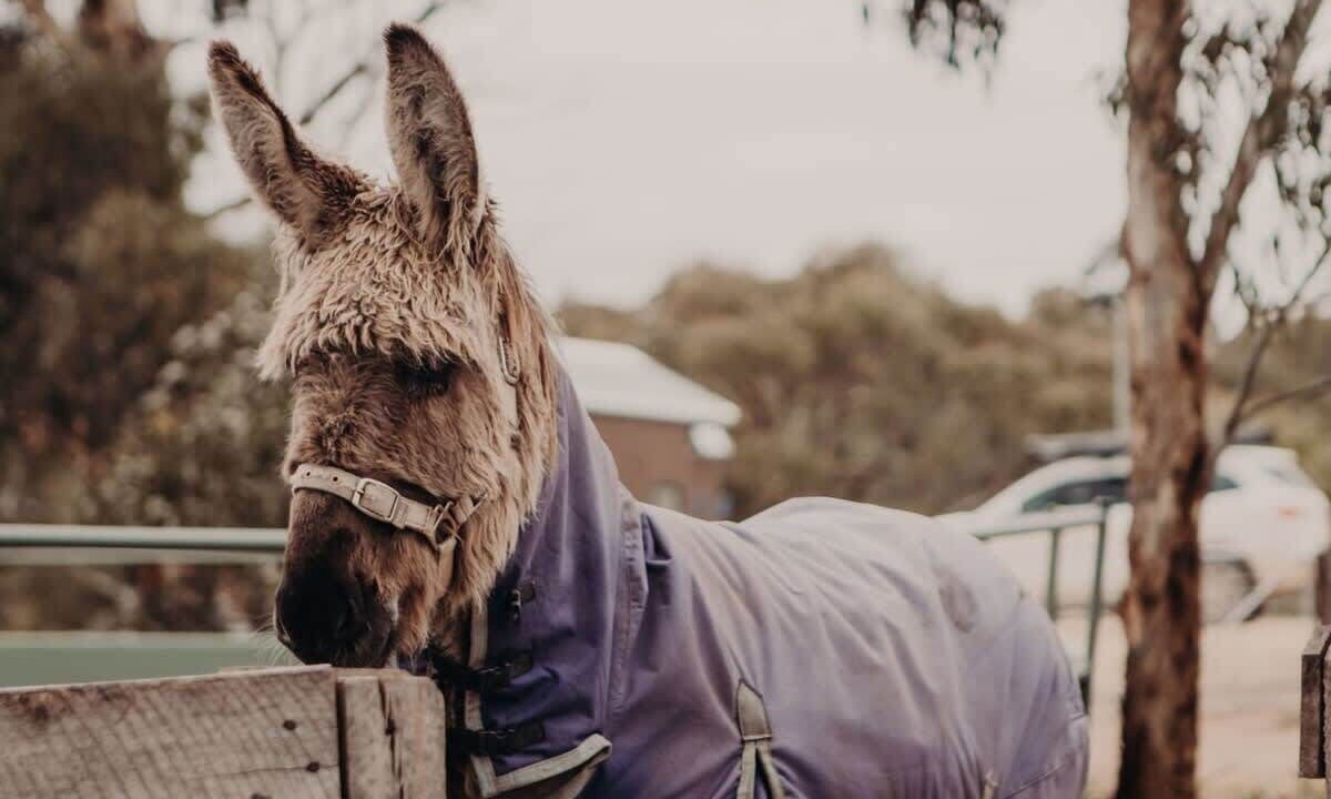Photo of Others in Macclesfield