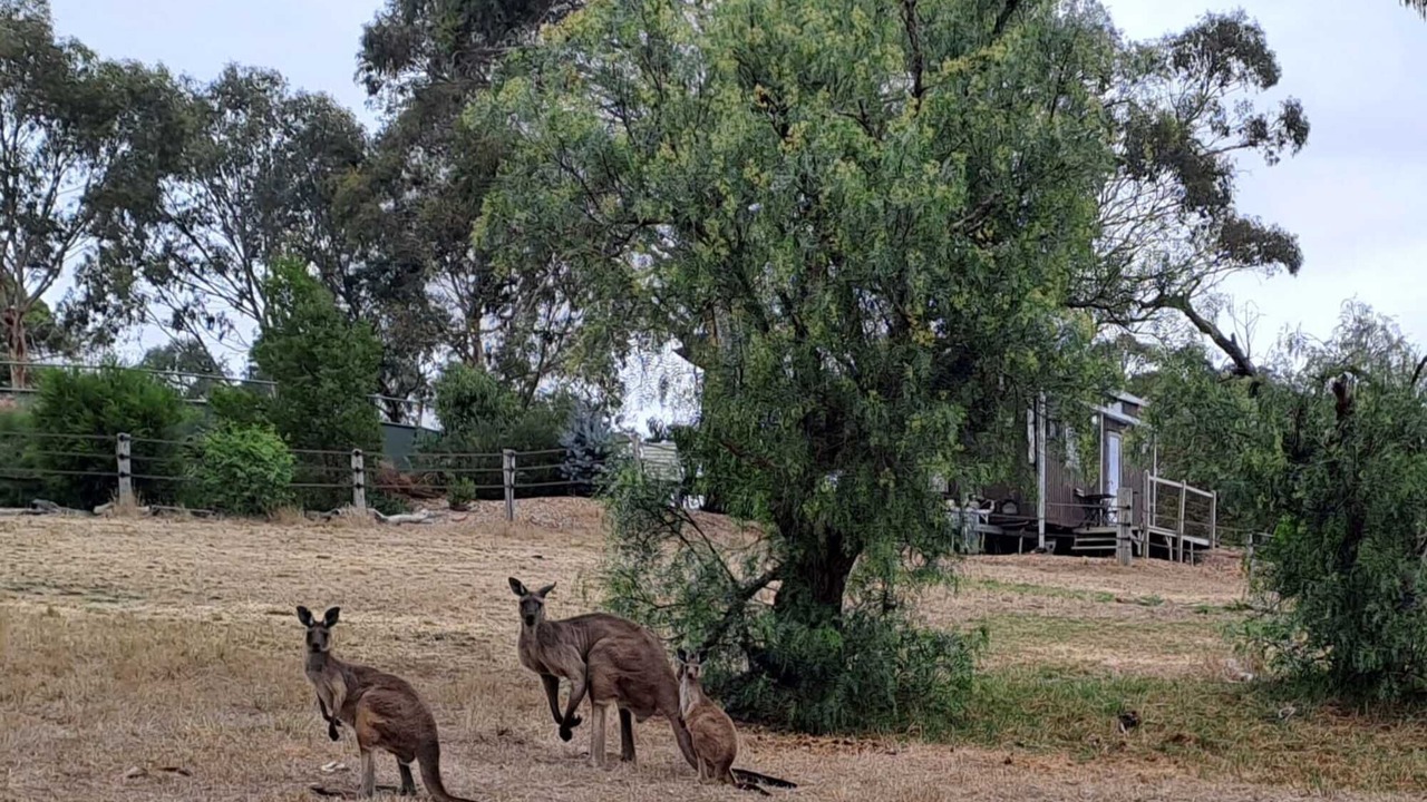 Photo of Others in Macclesfield