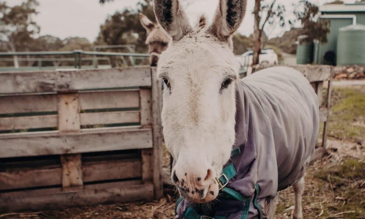 Photo of Others in Macclesfield
