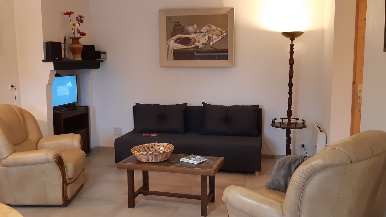 Photo of Livingroom in Lailly