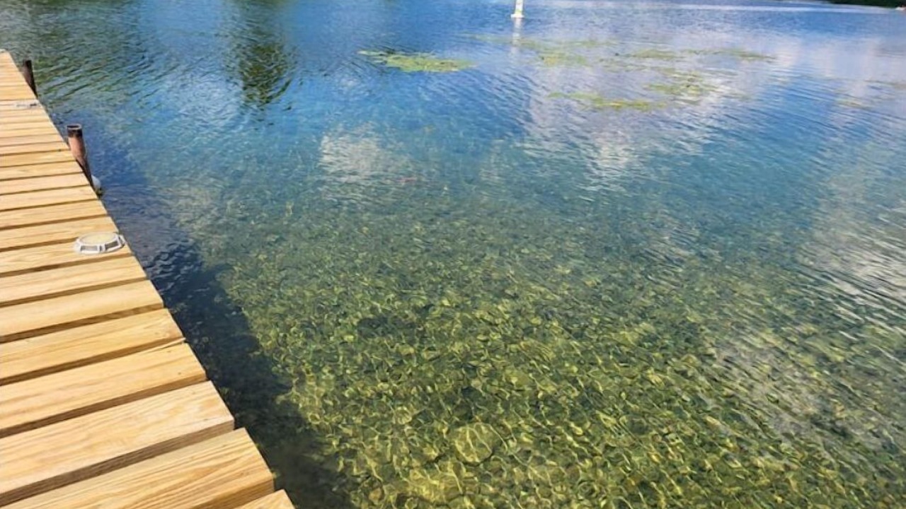 Photo of Others in Homer
