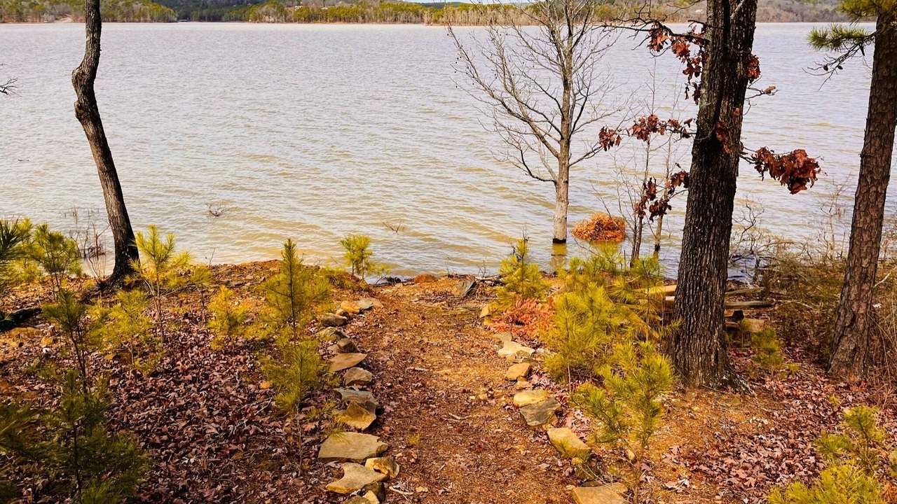 Photo of Outdoor in Bee Branch