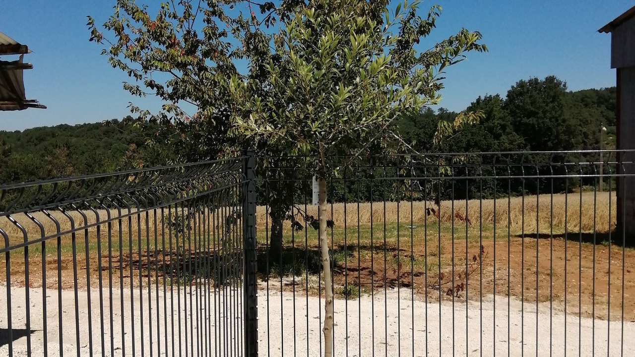 Photo of Outdoor in Salignac-Eyvignes