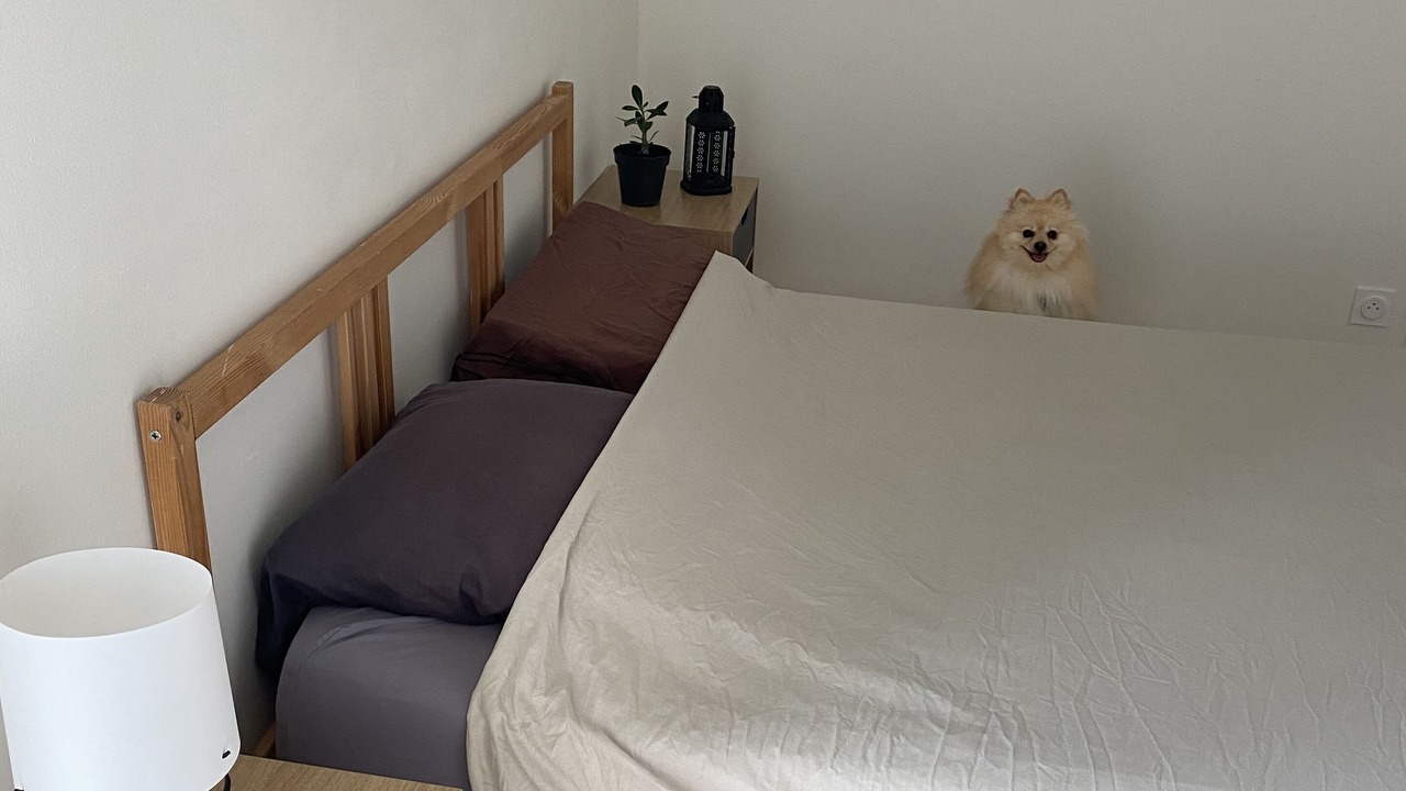 Photo of Bedroom in Fontenay-le-Comte