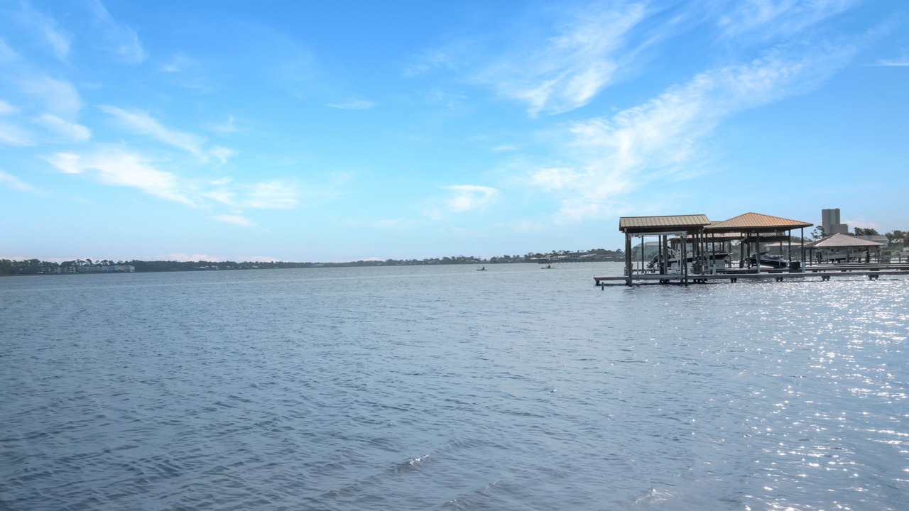 Photo of Others in Gulf Shores