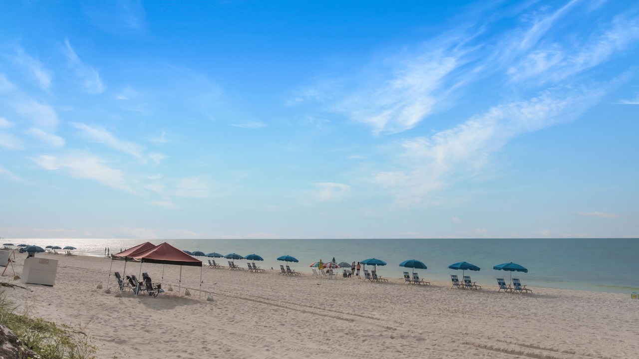 Photo of Others in Gulf Shores