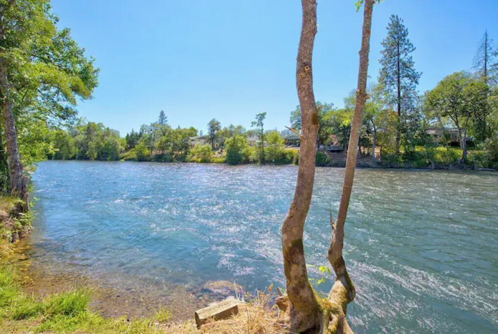 Photo of Others in Shady Cove