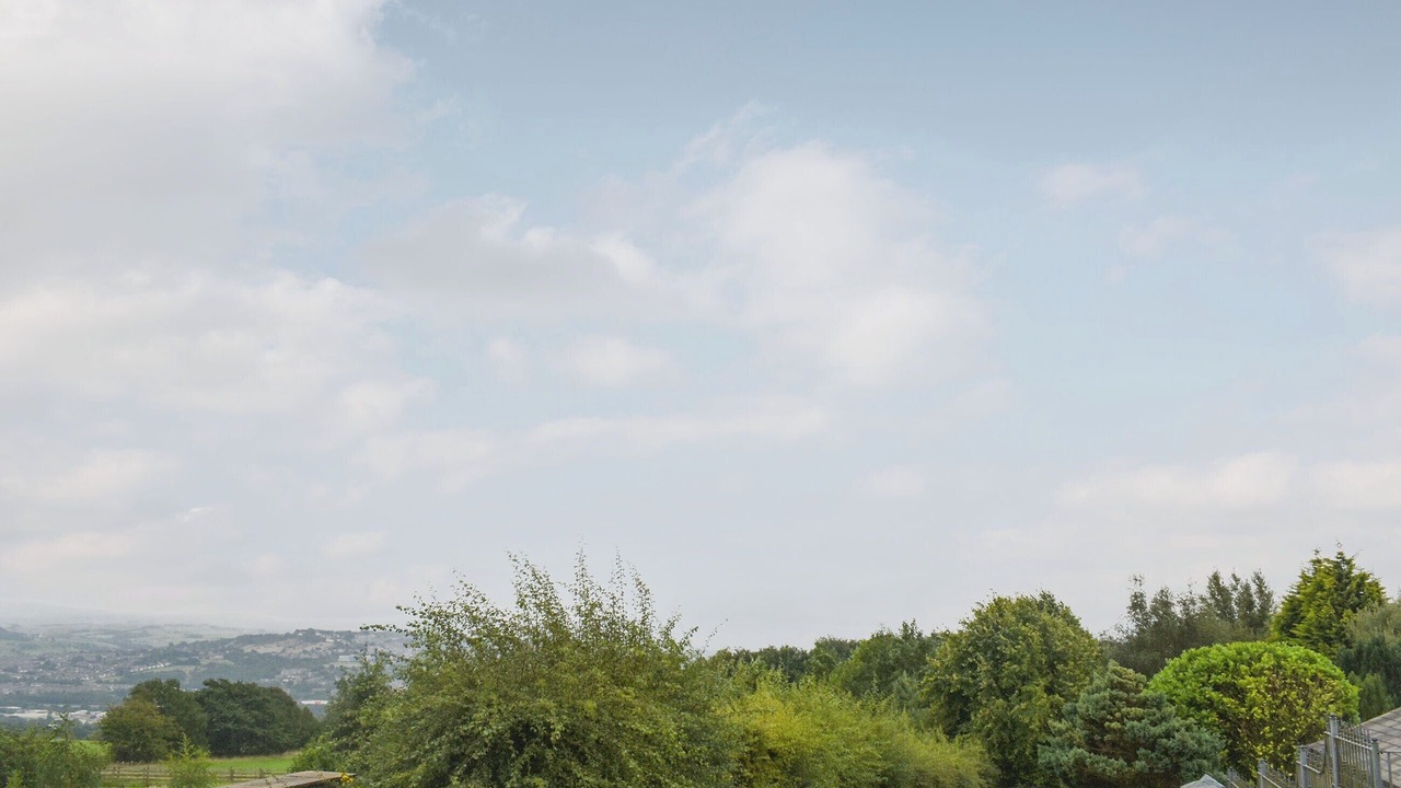 Photo of Others in Fence