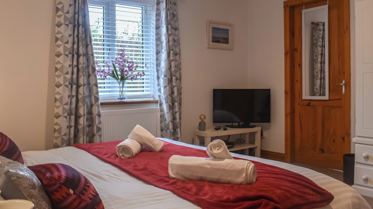 Photo of Others in Fence