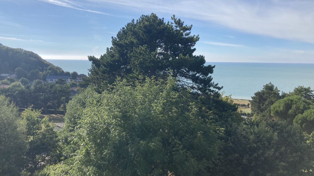 Photo of Others in Berneval-le-Grand