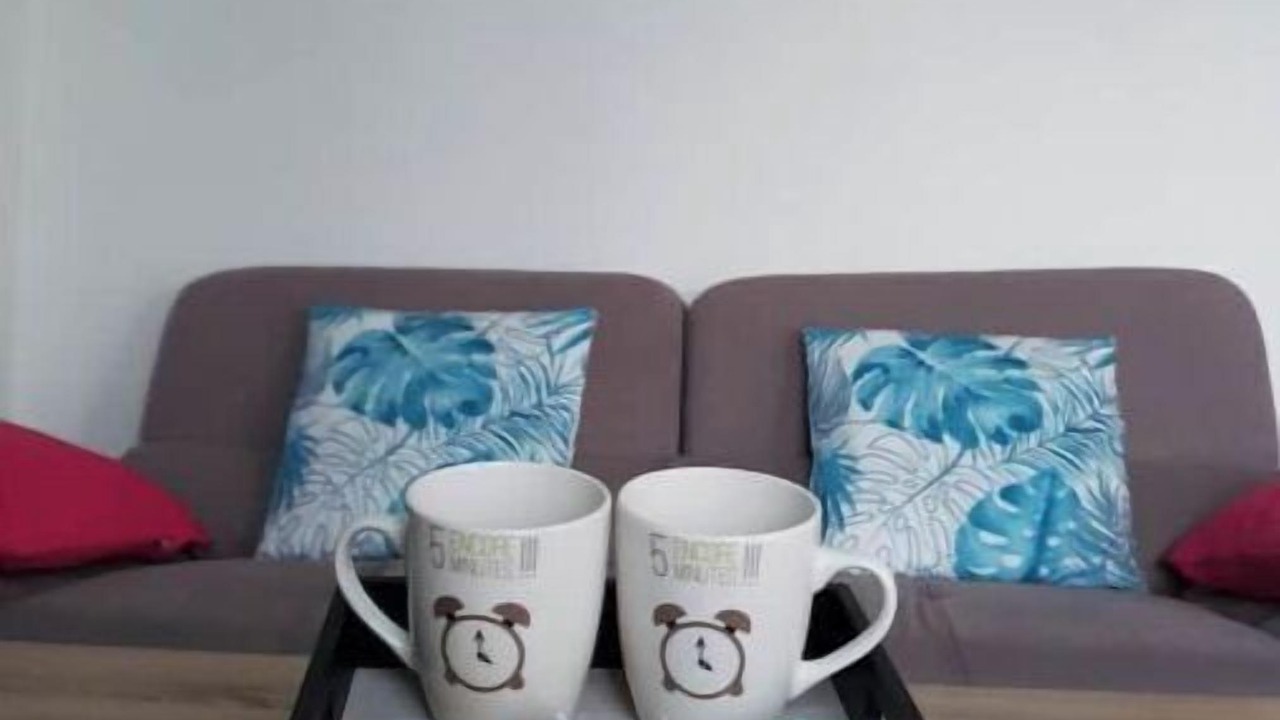 Photo of Others in Downtown Le Havre