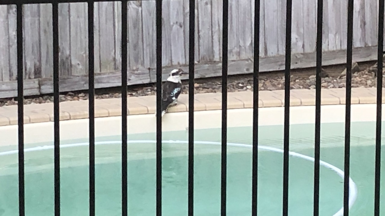 Photo of Outdoor in Tewantin