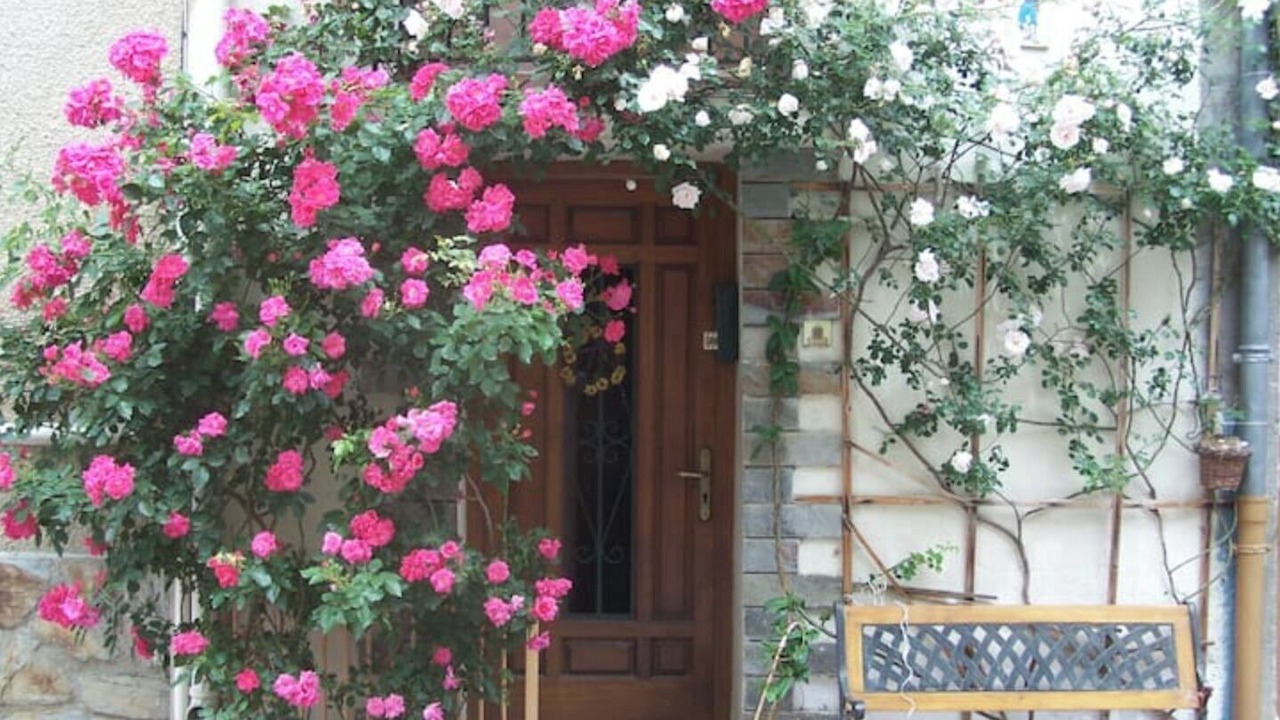 Photo of Outdoor in Vinca