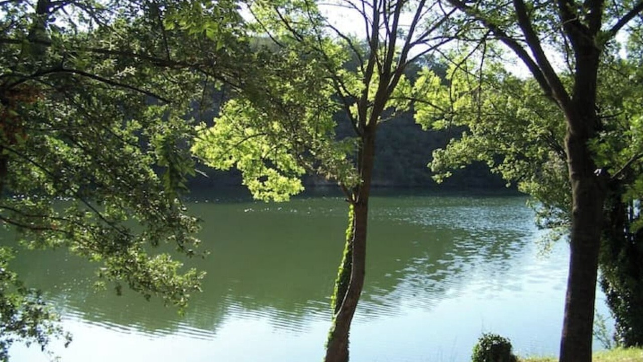 Photo of Others in Vinca
