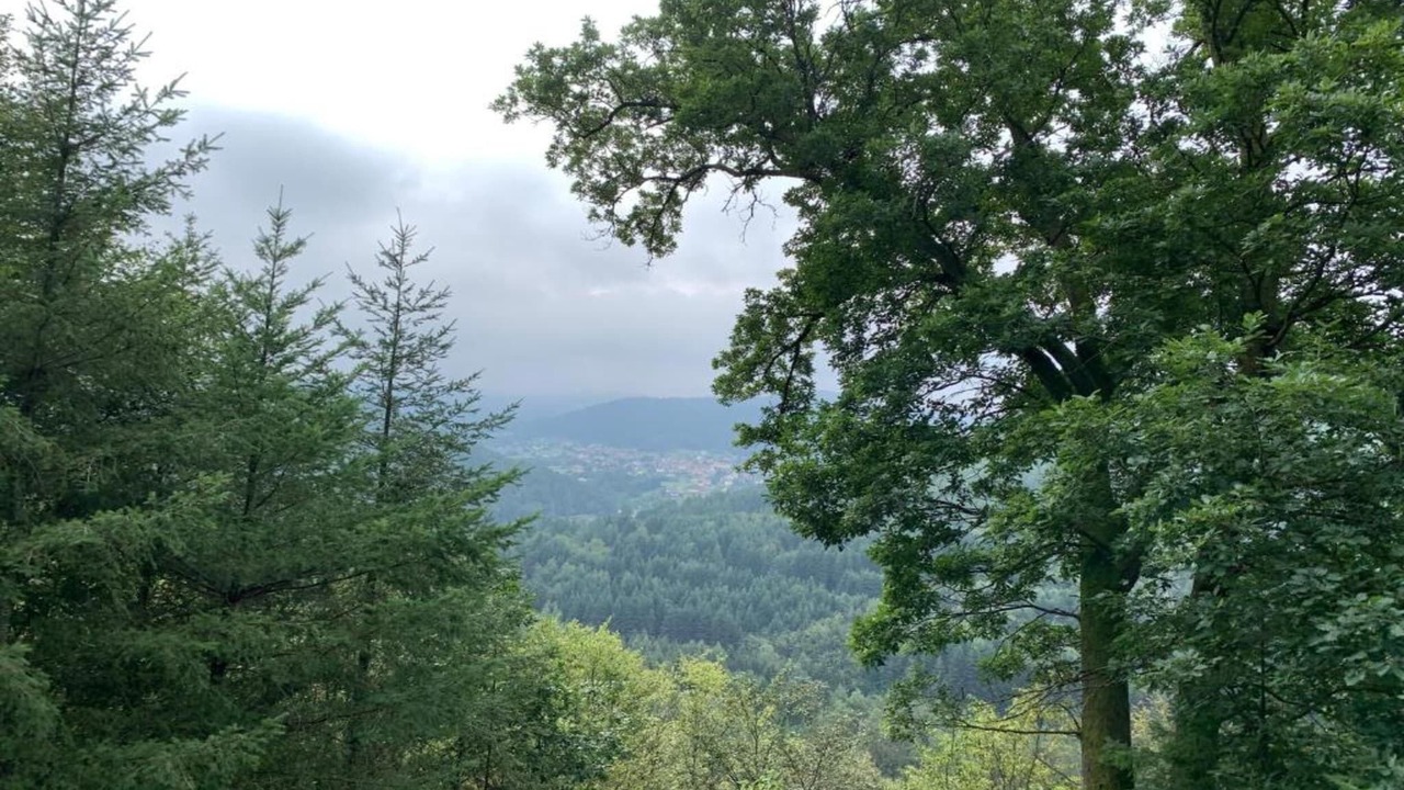 Photo of Others in Saint-Quirin