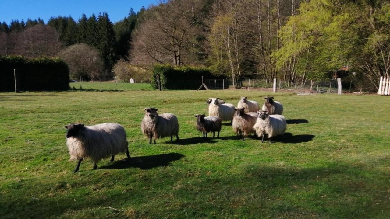 Photo of Others in Saint-Quirin