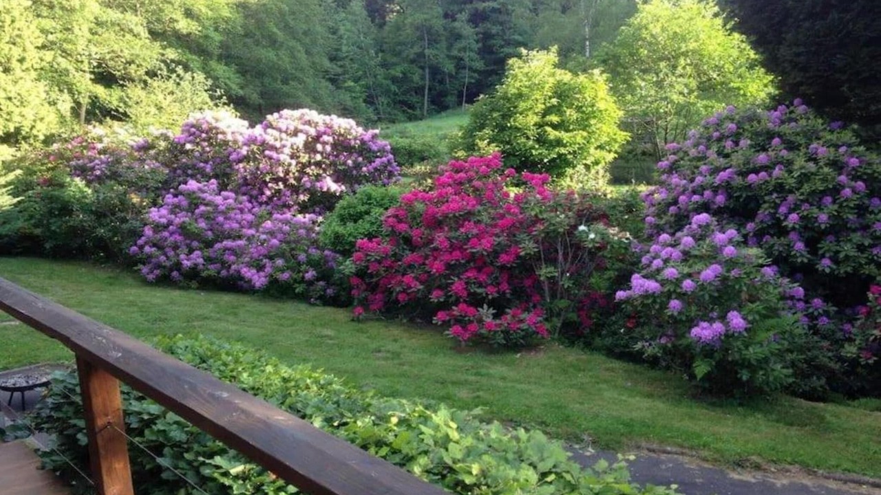 Photo of Others in Saint-Quirin