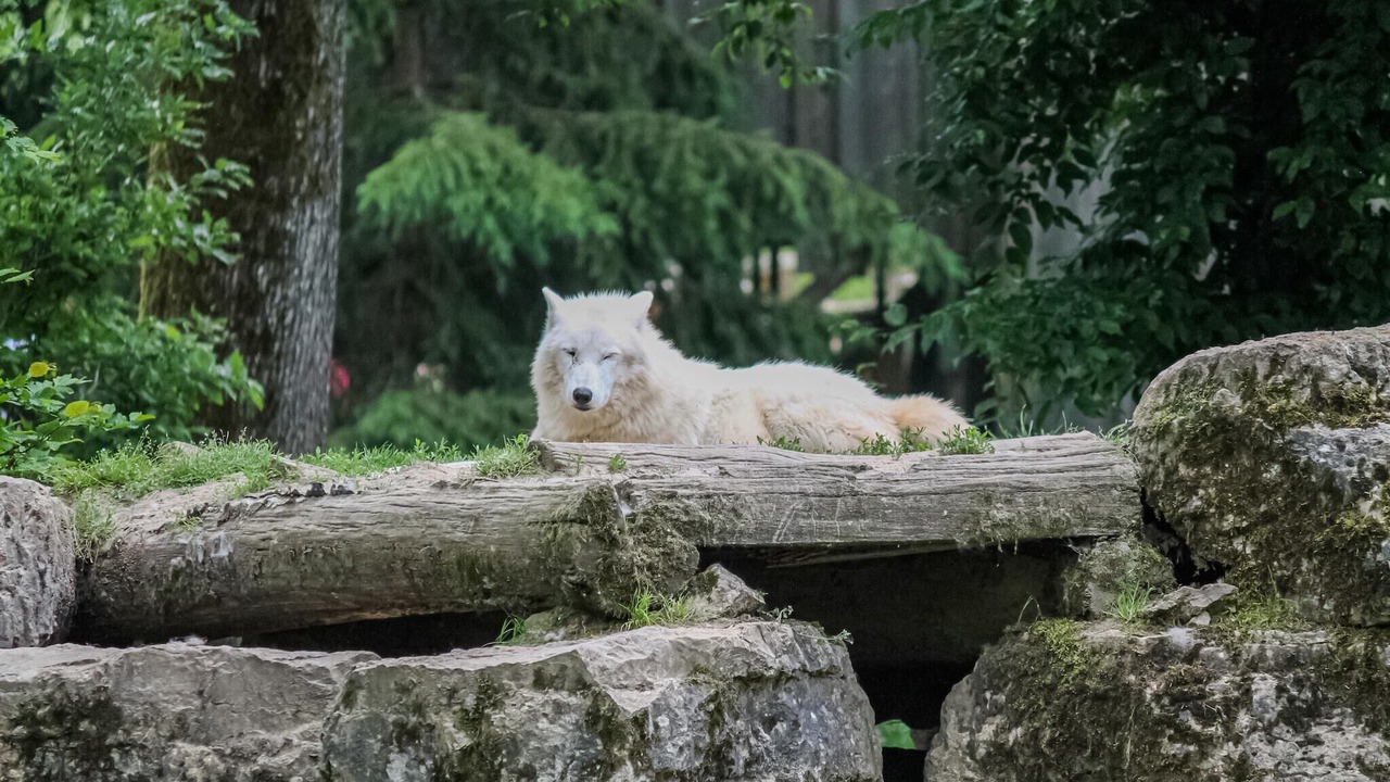 Photo of Others in Saint-Quirin