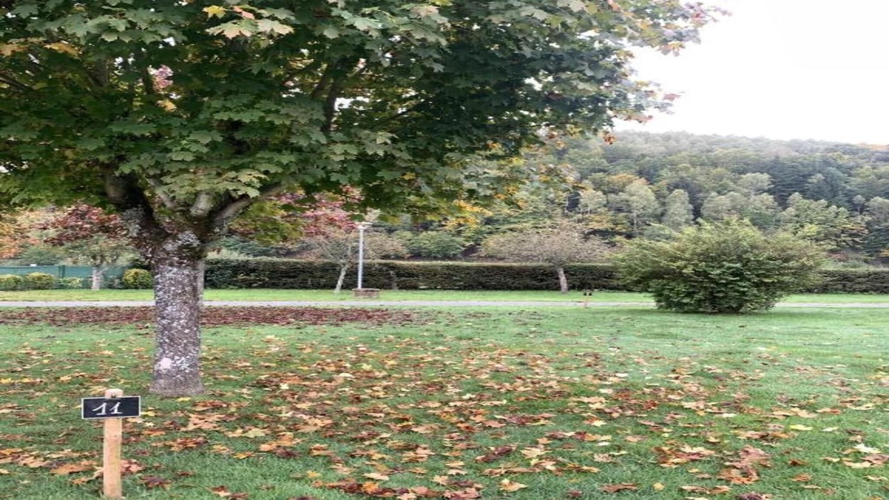 Photo of Others in Saint-Quirin