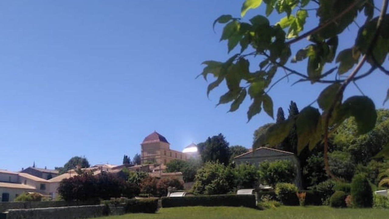 Photo of Outdoor in Castries