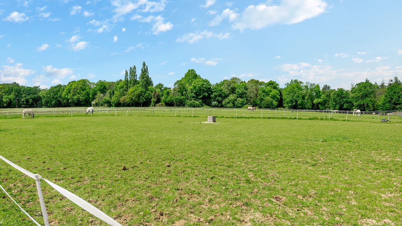 Photo of Others in Wimborne