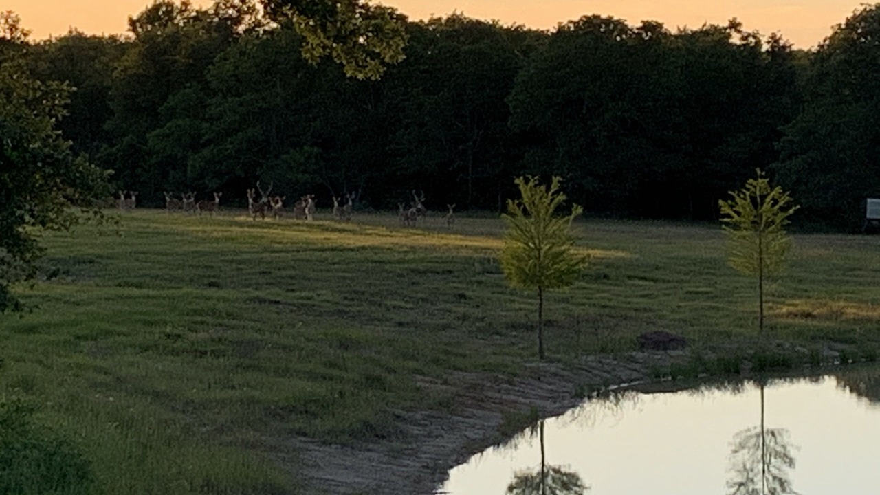 Photo of Others in Caldwell