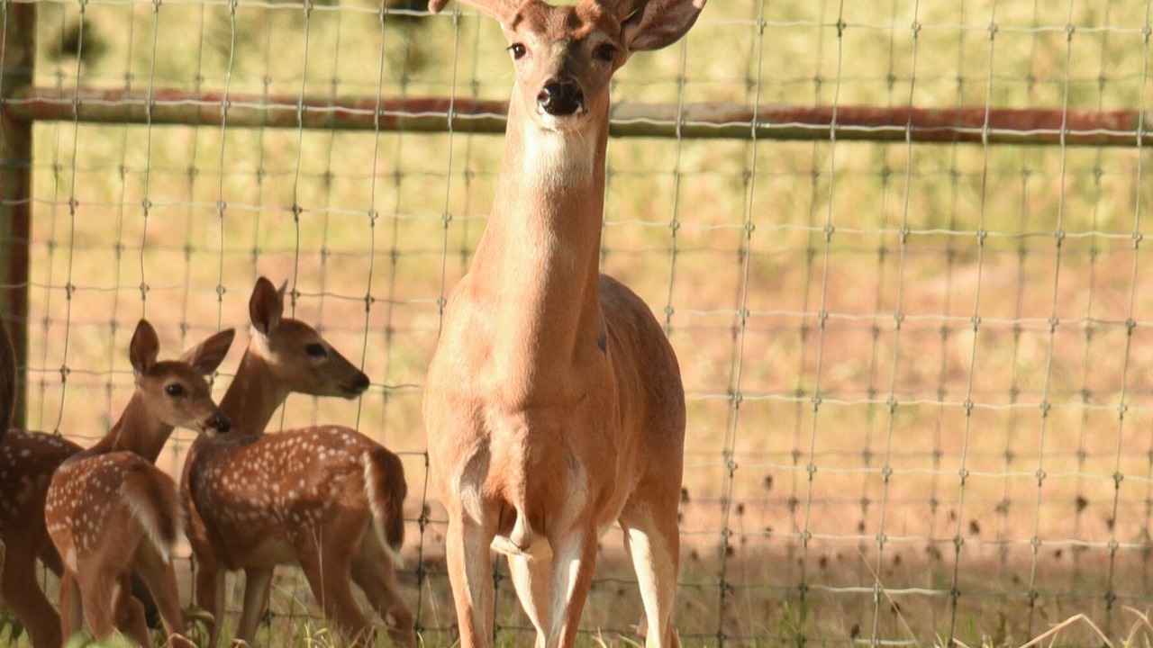 Photo of Others in Caldwell