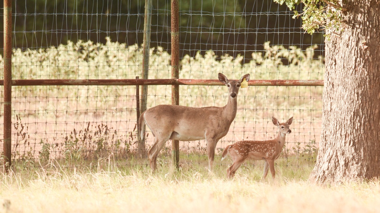 Photo of Outdoor in Caldwell