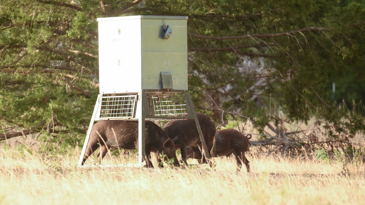 Photo of Others in Caldwell