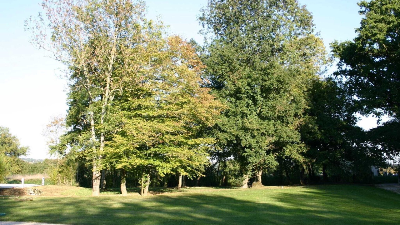 Photo of Outdoor in Buzon