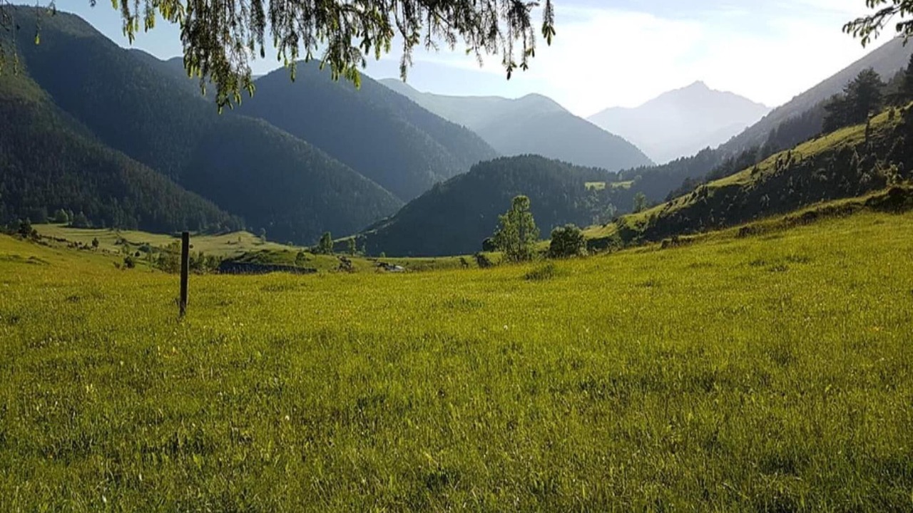 Photo of Others in Buzon