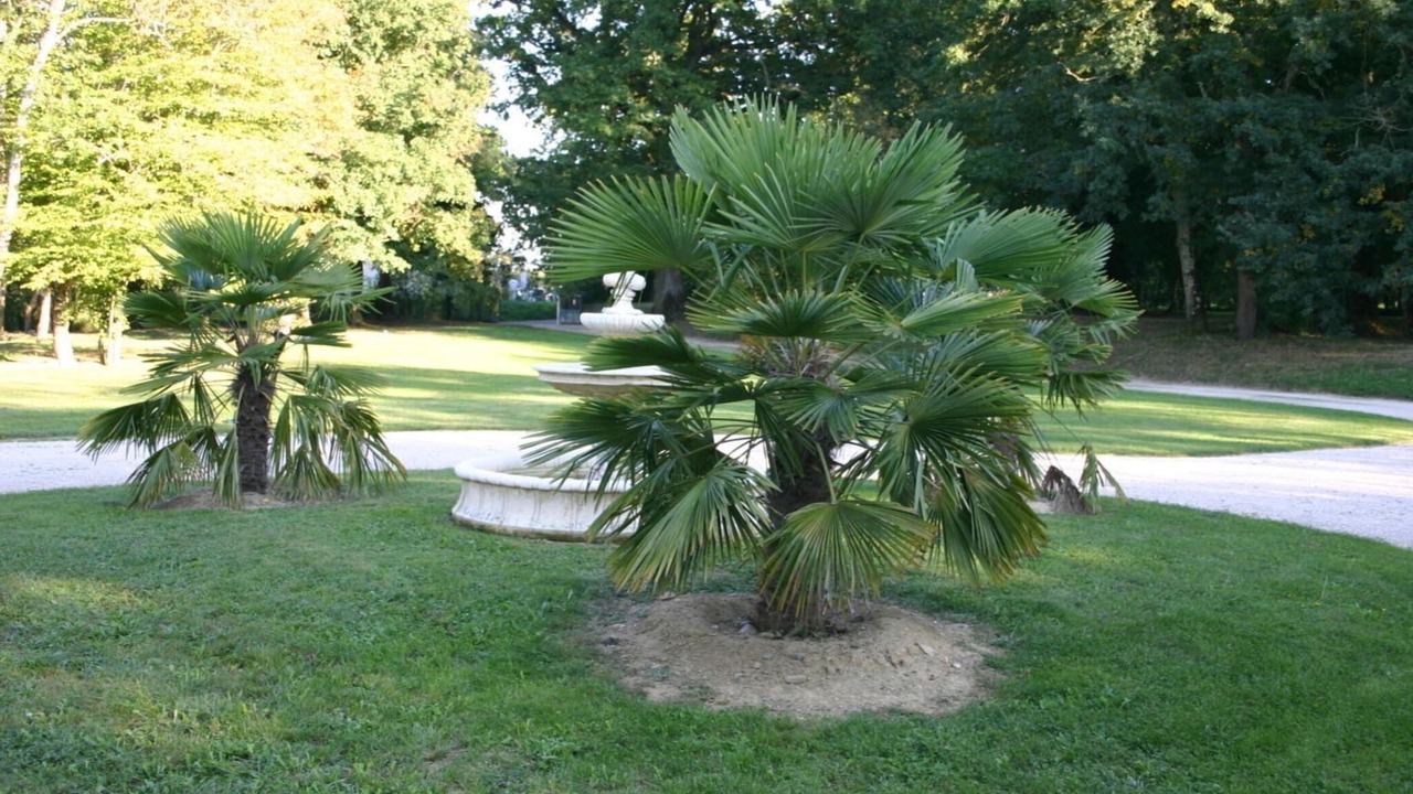 Photo of Outdoor in Buzon