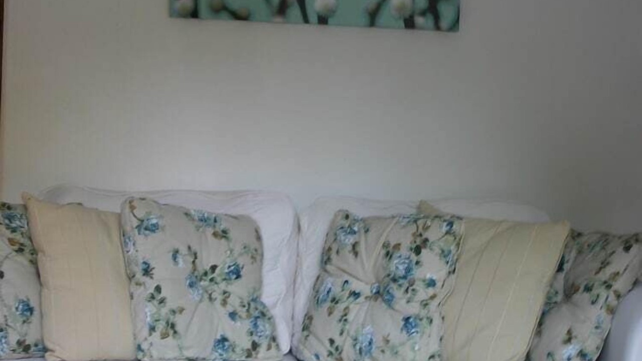 Photo of Livingroom in Buzon