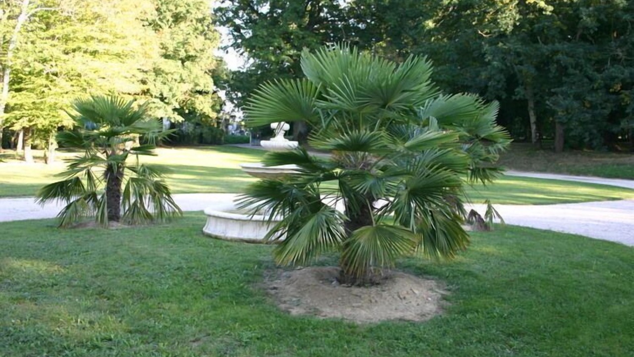 Photo of Outdoor in Buzon