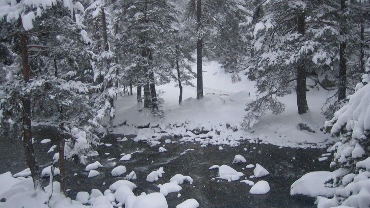 Photo of Others in Buzon