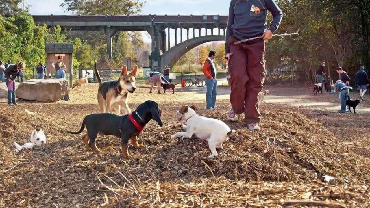 Photo of Others in Midtown